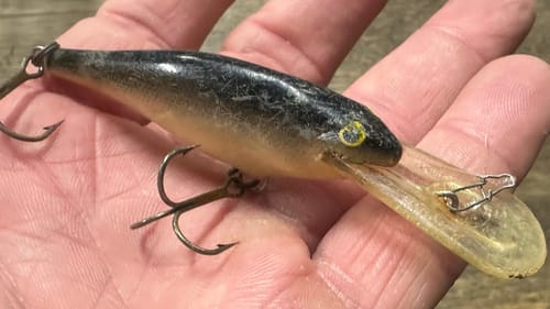 My Secret April Shad Rap Fishing Technique…(After Most Anglers Quit Fishing It)