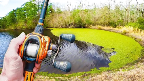 This HIDDEN Pond is LOADED w/ Bass (Bank Fishing)