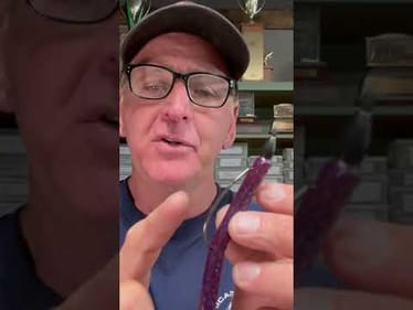 Biggest Texas Rig Mistake You Can Make