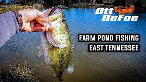 Farm Pond Fishing