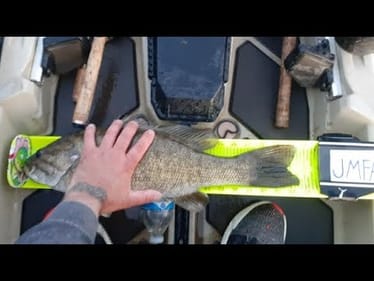 THE GRIND IS PAYING OFF  ||BIG SMALLIE CRUSHES THE Z-MAN  JACK HAMMER||