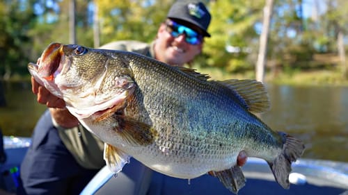 New PERSONAL BEST?!?! Massive TEENER Bass Caught on Film!!