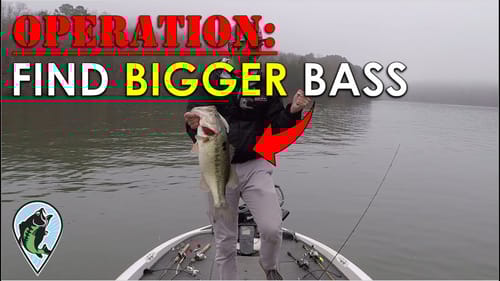 My Plan For Bigger Bass in 2020! | Bass Fishing Insights