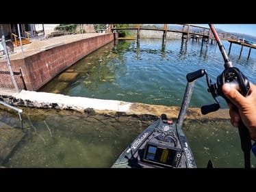We’re back at Clear Lake, CA (May 2025)