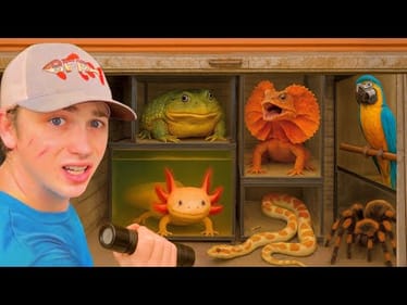 I Found Animals in an Abandoned Storage Unit…