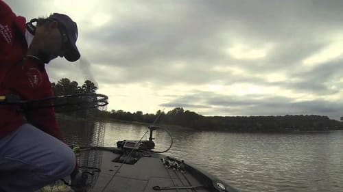 Epic B.A.S.S. Nation catches