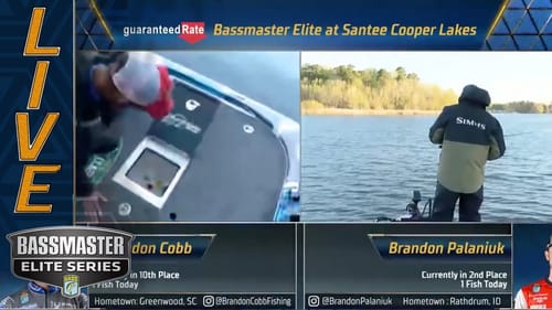Santee Cooper: Back-to-back catches for Cobb and Palaniuk