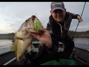 Big Bass on ChatterFrogs. Spring Bass Fishing.