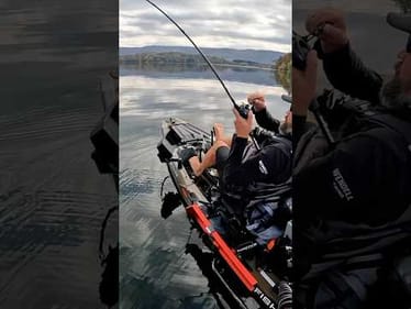 I Speak Fluent ChatterBait