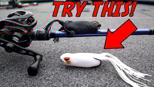 The MOST OVERLOOKED Technique to Catch Summer Bass!