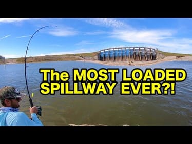 1000 LBS OF FISH in ONE DAY from the most LOADED SPILLWAY EVER!