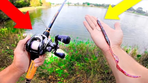 Catching GIANT Bass on BIG Worms (Bank Fishing)