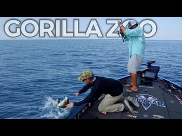 Very Special Spot - Gorilla Zoo! Googan Baits - SMC TV EP3