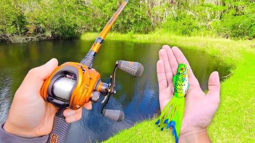 Fishing FROGS in PONDS - I MESSED UP... (Bank Fishing)
