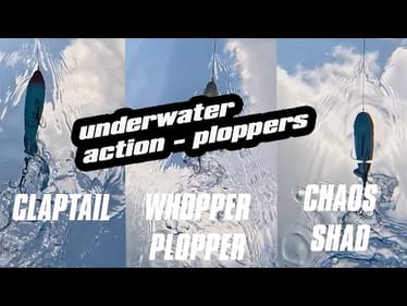 Pool Series | Underwater | Ploppers