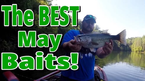 The Bass Are Moving in MAY. Keep up with these TOP 5 BAITS