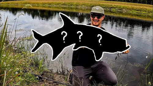 I Caught A Canal MONSTER!