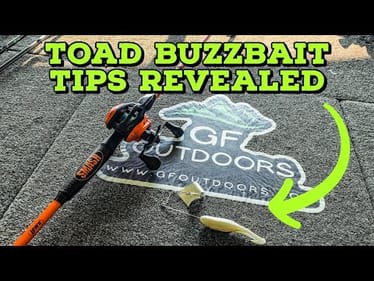 EVERYTHING You Need To KNOW About TOAD BUZZBAITS!!