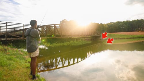 2 Lures YOU Must Try For Summertime Pond Bass Fishing