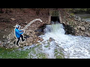 BIGGEST in YEARS was Hiding Here!!! (The Hunt For a 100LB Catfish!)