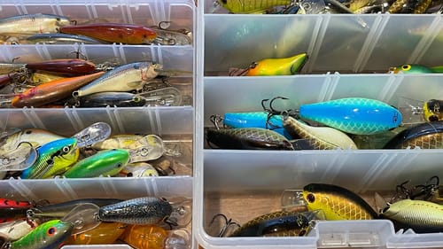 This Best-Selling Crankbait Color Sucks…(Catches Fishermen/Not Fish)