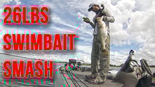 26lbs ~ Swimbait Smash Fishing