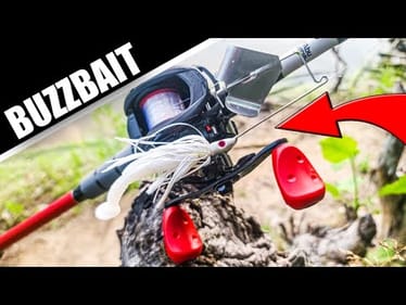 Summer Buzzbait Fishing in HOT Weather (Bank Fishing for Bass)