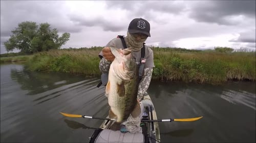 8lb bass on Topwater Frog