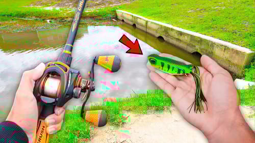 FROG Fishing SMALL Ponds (Bank Fishing)