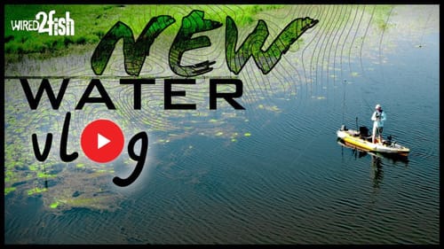 3 Baits for Finding and Catching Bass on New Lakes