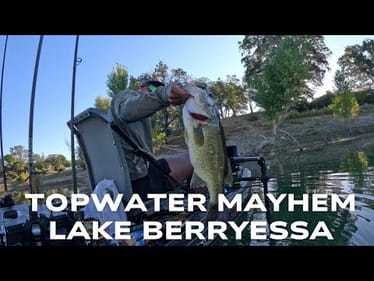 SUMMER TOPWATER MAYHEM ON LAKE BERRYESSA | BASS FISHING | CALIFORNIA #fishing #bassfishing