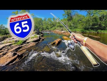 ROADSIDE Creek & Waterfall Fishing CHALLENGE! -- (Northwoods Edition)