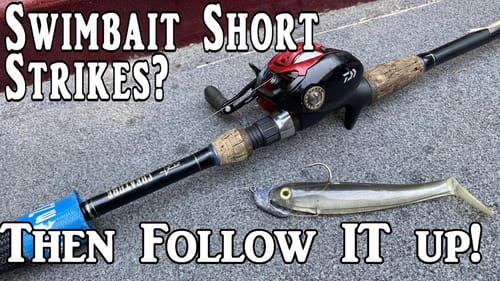 Short Striking Your Swimbait? Follow Up with This!