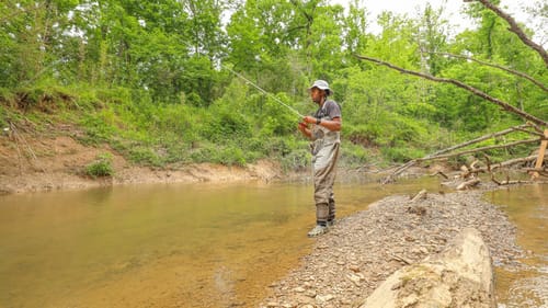 Fishing Urban Crystal Clear Creek For Big Bass (Multi-Species Adventure)
