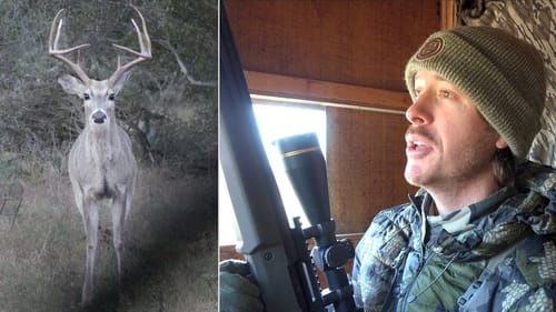 The Best Deer Hunting Sit I've Ever Had! | Big Bucks & Predators!