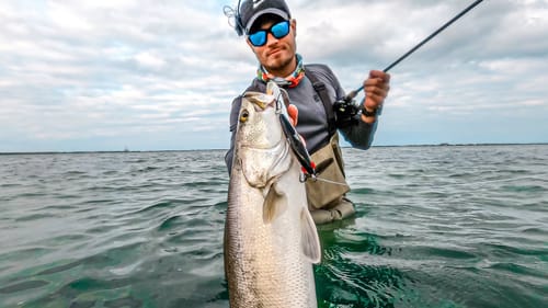 think the big fish are shallow or deep? ...unless??