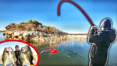 I Waited 12 MONTHS For These Fish!!! (FINALLY HAPPENED)