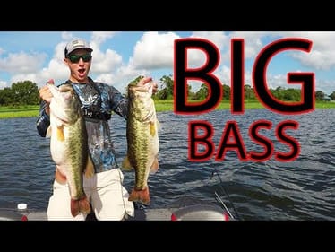 BIGGEST FishingWithNorm Bass of 2018!