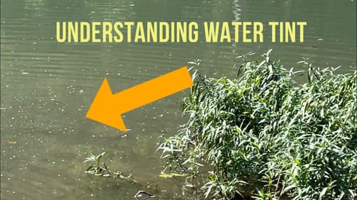 Most Anglers Are Clueless About Water TINT