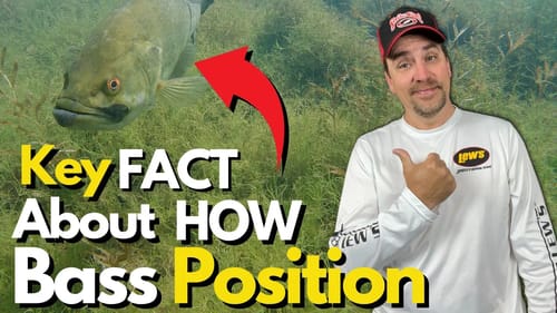 ALWAYS Be Aware of This Factor When Bottom Fishing for Bass