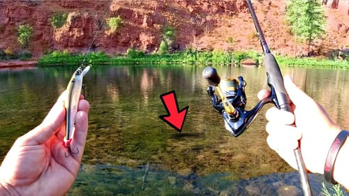 BEST DAY EVER Fishing CRYSTAL CLEAR Desert River!!!