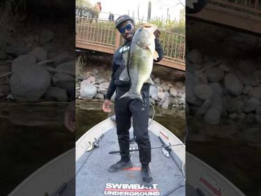 These People Couldn’t Believe What I Caught!