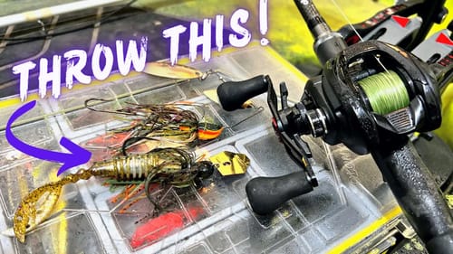Big Fall Bass Can’t Resist A Chatterbait In the Rain!