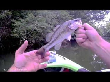 Kayak Bass Fishing