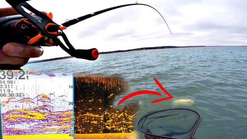 GIANT School of Fish Surrounds the Boat!! (EVERY CAST)