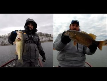 FULL Damiki Rig Seminar - Secrets Told