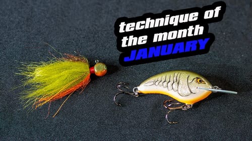 Technique Of The Month | January | Fishing The Steps