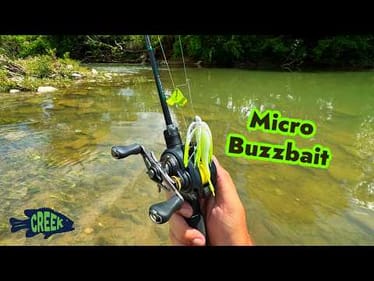 TopWater Creek Fishing BFS