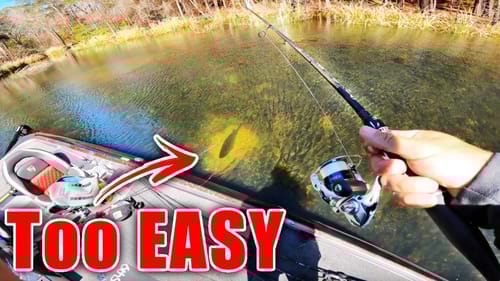 I Paid $6,000 to Catch THESE FISH?!