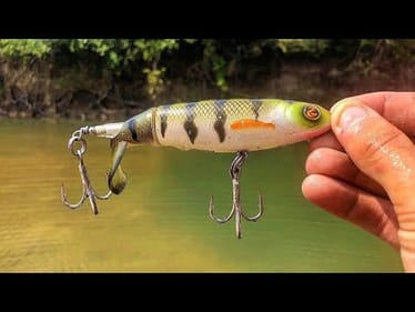 15 POUND BASS ON A WHOPPER PLOPPER!!!